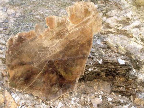 云母含鐵愈高時，顏色愈深，同時多色性和吸收性增強(qiáng)